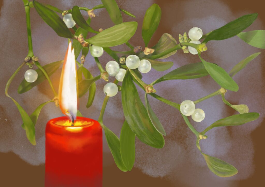 gyerta és fagyöngy