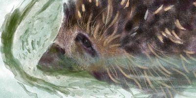 Süni úszik a medencében